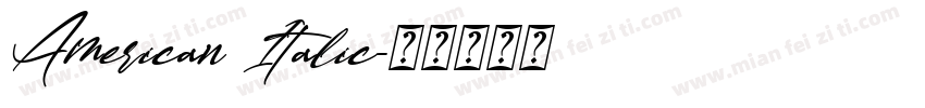 American Italic字体转换
